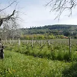 Cavalletti Фермерский дом *