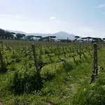 Cavalletti *