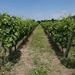 Фермерский дом Cavalletti Гроттаферрата