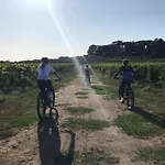Cavalletti Farm stay Grottaferrata
