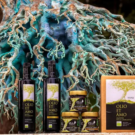 Κατάλυμα σε φάρμα Cavalletti *