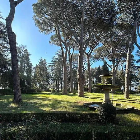Cavalletti