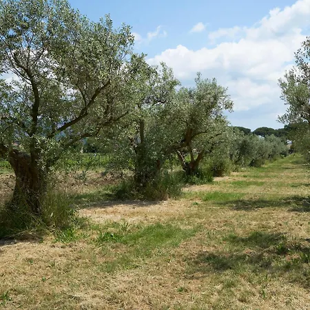 Cavalletti Alloggio per agriturismo *