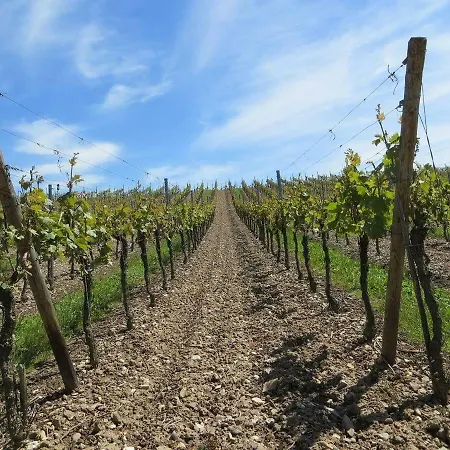 Cavalletti * Grottaferrata