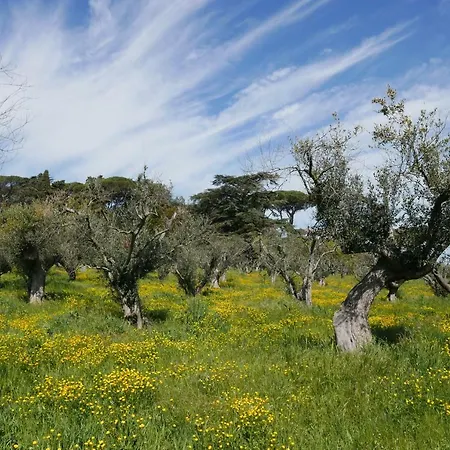 Cavalletti Alloggio per agriturismo *