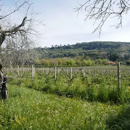 Cavalletti Alloggio per agriturismo *