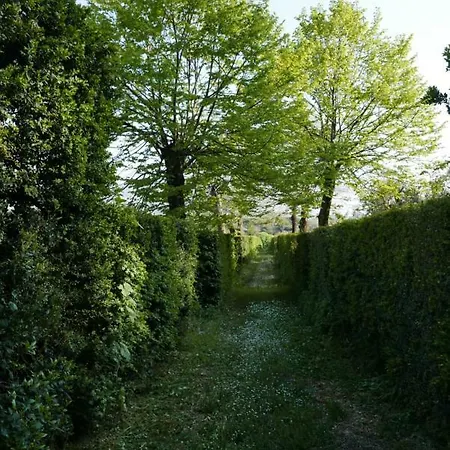 Cavalletti Alloggio per agriturismo Grottaferrata