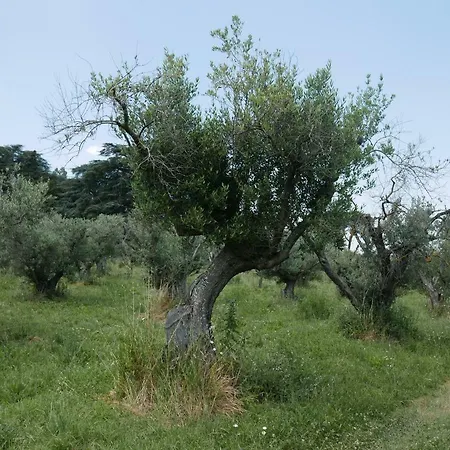Gospodarstwo agroturystyczne Cavalletti *