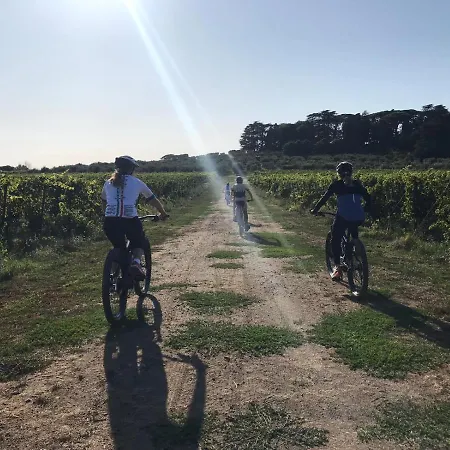 Cavalletti Alloggio per agriturismo Grottaferrata