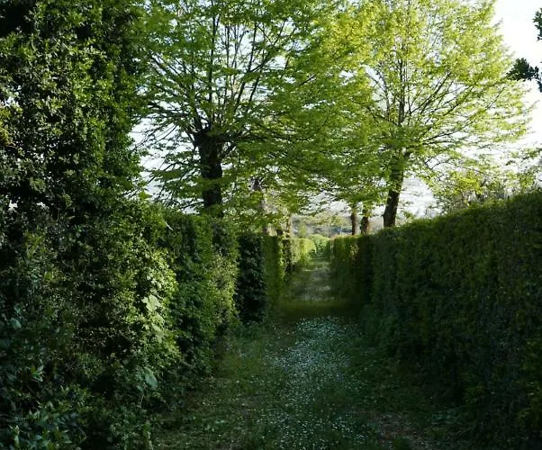 Cavalletti Farm stay Grottaferrata